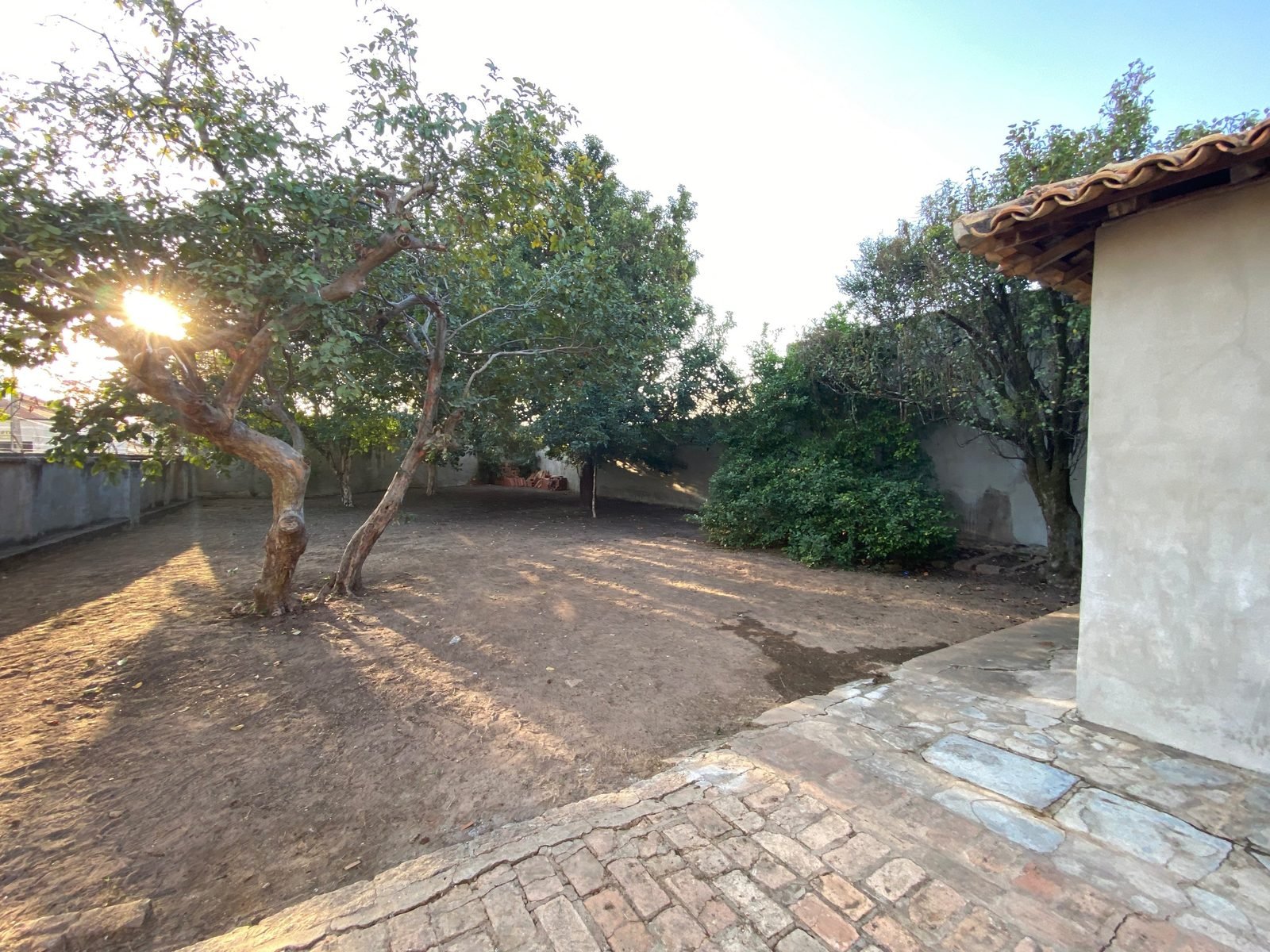Tree-shaded backyard of the manor